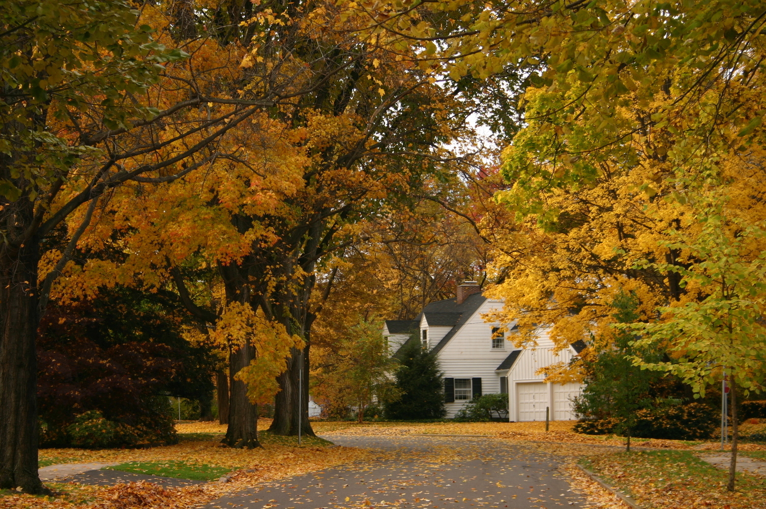 Prep For Winter With These Autumn Home Maintenance Tips